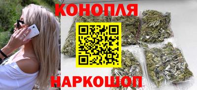 apvp Аша