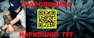apvp Аша